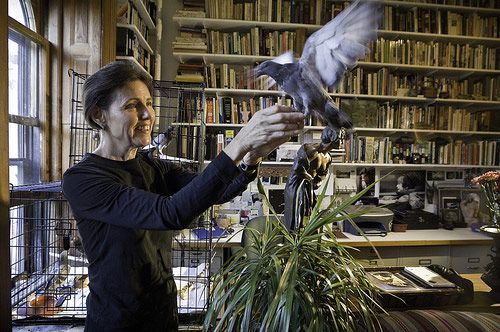 Rita McMahon does volunteer work for Animal General Hospital, a bird rescue organization, helping to nurse injured birds back to health. Before releasing baby birds back into the wild, she uses her Upper West Side apartment as a training ground to teach them to fly.